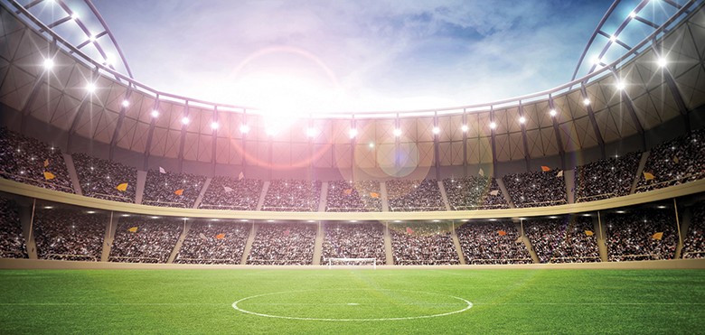 Security Guards of Sports Stadiums and How They Ensure the Safety of Fans